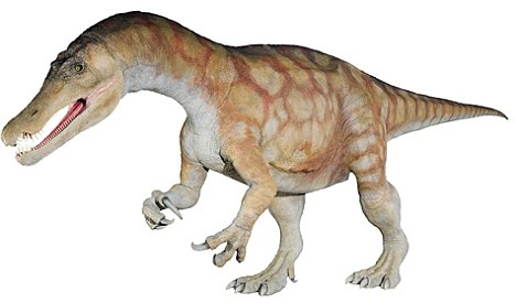 Huge: The neck vertebrae found in Australia is thought to come from the Baryonyx, which was previously though to live only on northern continents