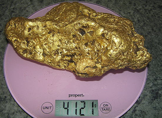 The 145-ounce gold nugget looks a lot different after soil and other debris was removed. The scale reads 4,121 grams. Image courtesy of Minelab