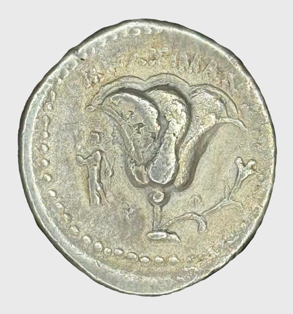 Item: Rhodos